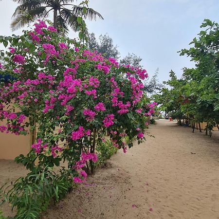 Love Temple Beach Resort Арамбол Екстер'єр фото
