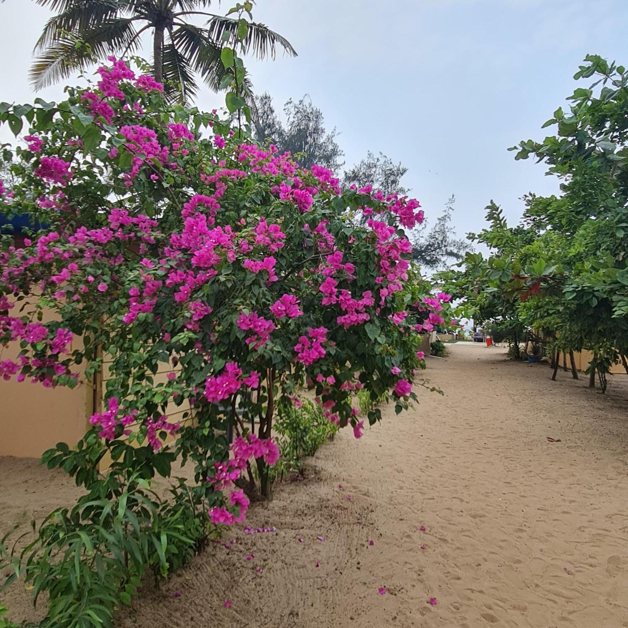 Love Temple Beach Resort Арамбол Екстер'єр фото